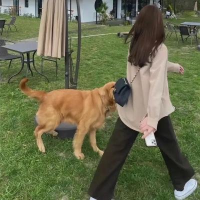健听女孩