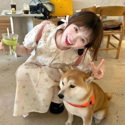白日青春